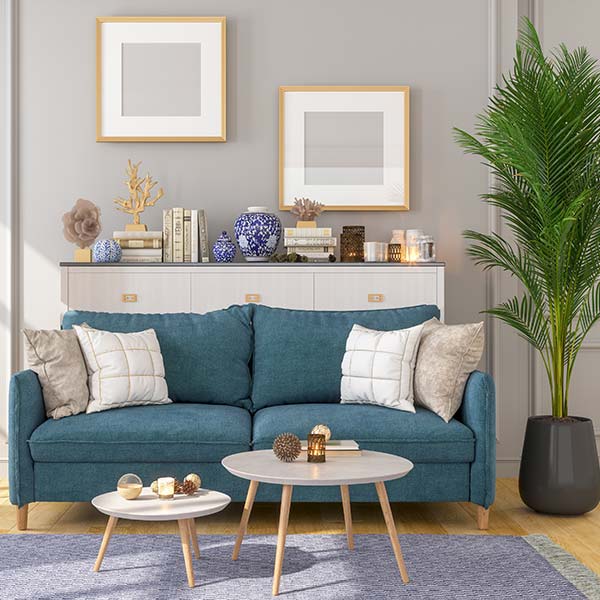 Nice blue color sofa in the living room